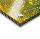 sunflower Acrylic print
