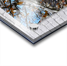 Autumn’s Last Breath Acrylic print