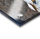 Winter Fortress2 Acrylic print