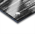 Silent Woods Acrylic print