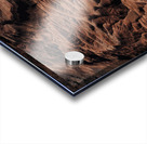 Sleeping Fire Acrylic print