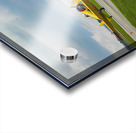 Runway Legends Acrylic print