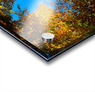 Window to the sky Acrylic print