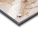 Wings of Dawn Acrylic print