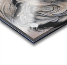 Rider of Storms Acrylic print