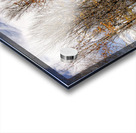 Autumn Silence  Acrylic print