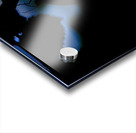 Whispers in the Dark Acrylic print