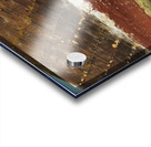 Echoes of the Sea Acrylic print