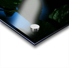 Whispers of Light  Acrylic print