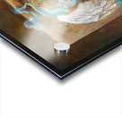 Fly to God Acrylic print