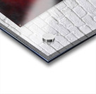 Slumber Acrylic print