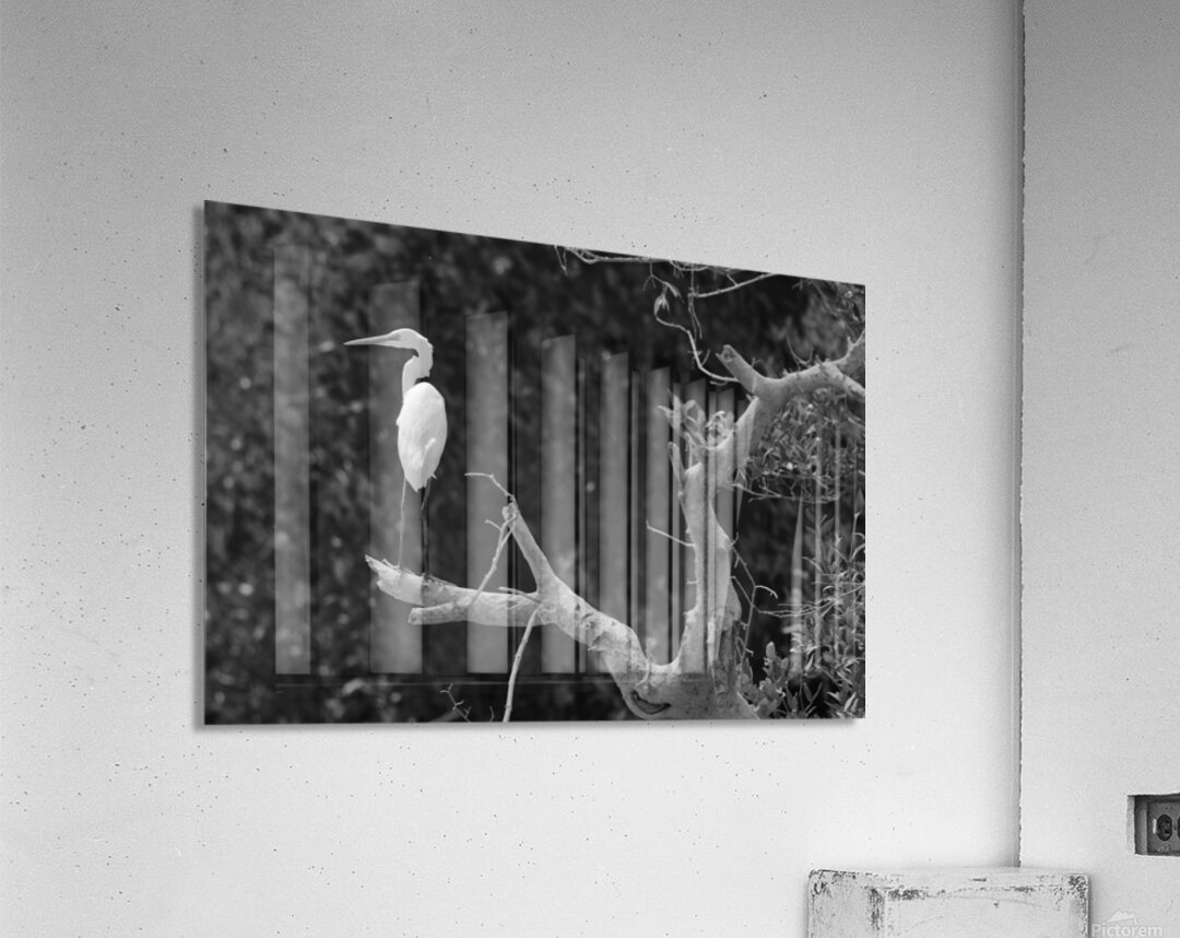 The White Guardian Acrylic Print