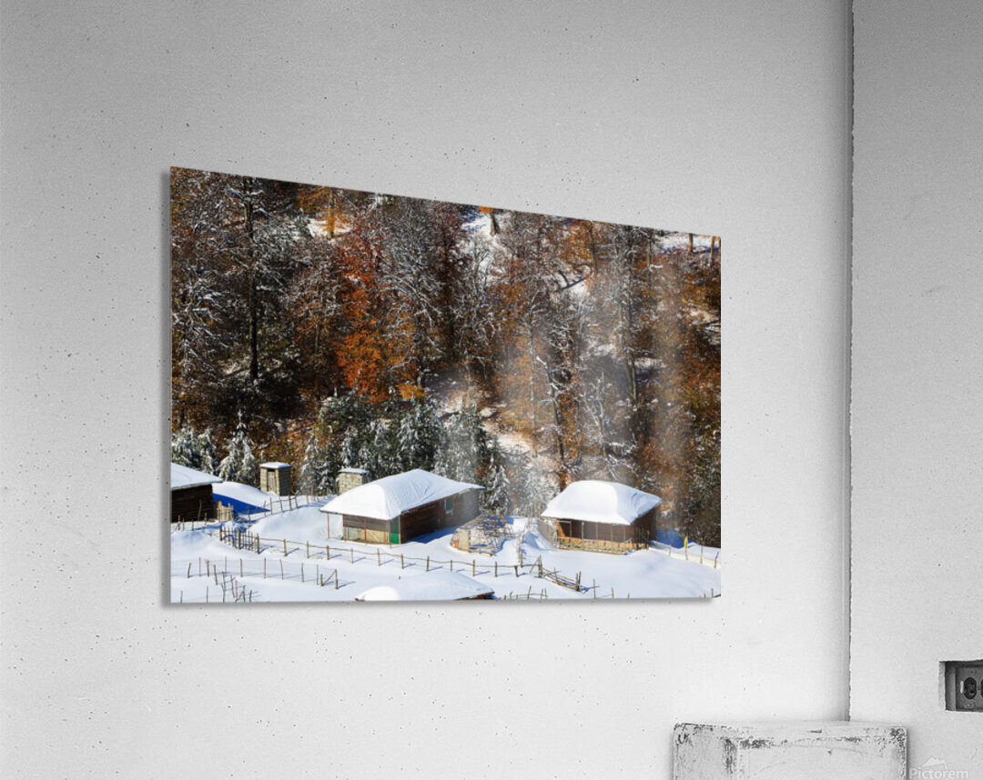 Autumn Meets Winter Acrylic Print