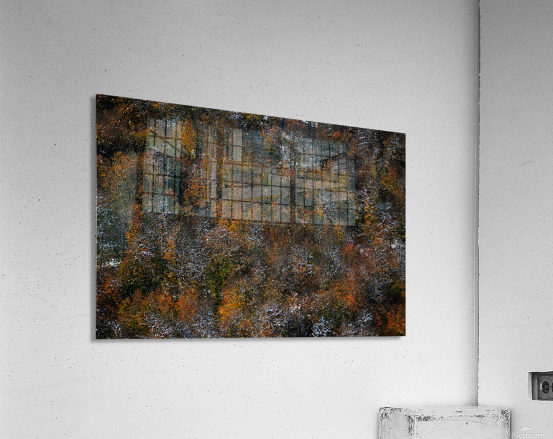 Frozen Autumn Acrylic Print