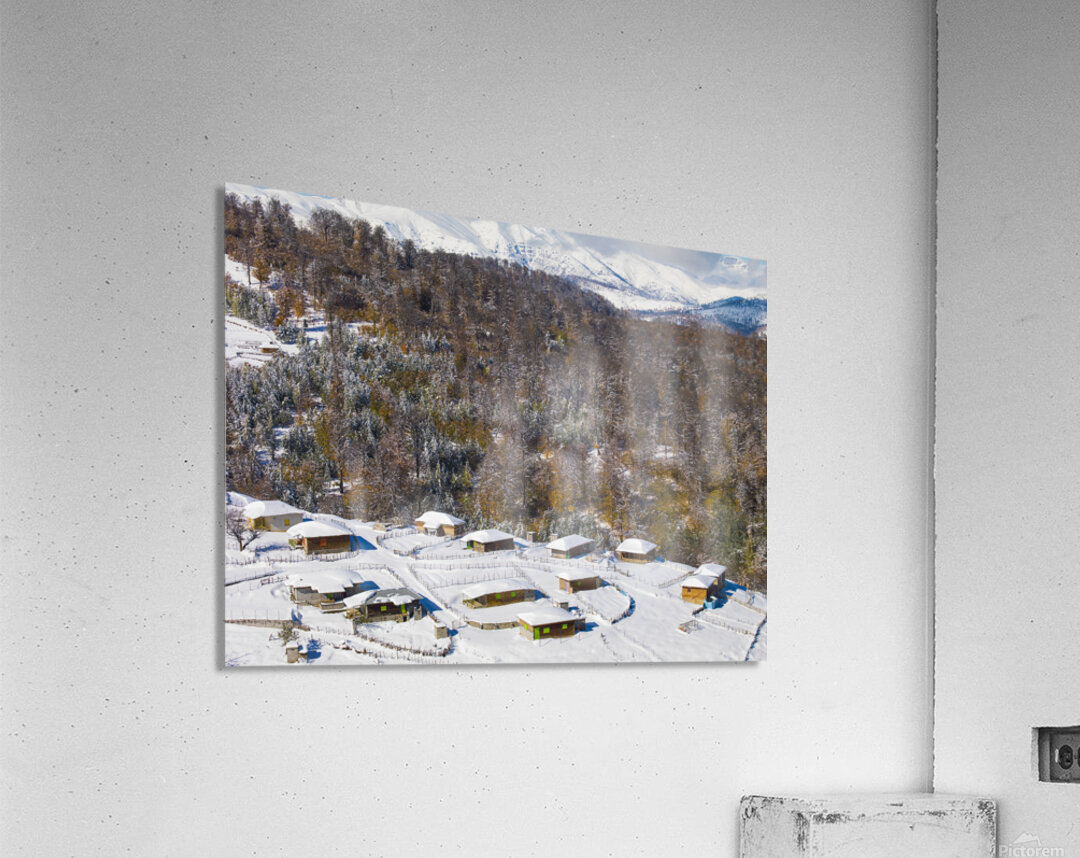 Silent Cabins Acrylic Print