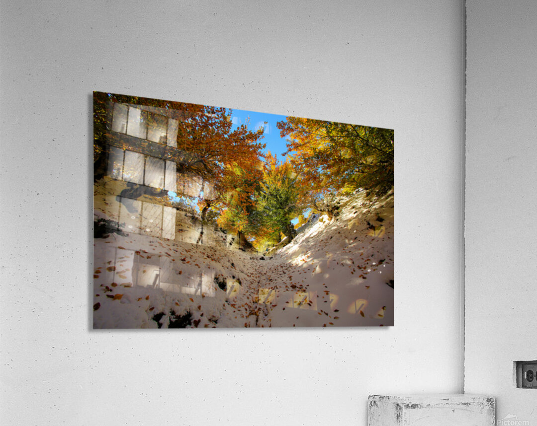 Nature’s Invitation Acrylic Print