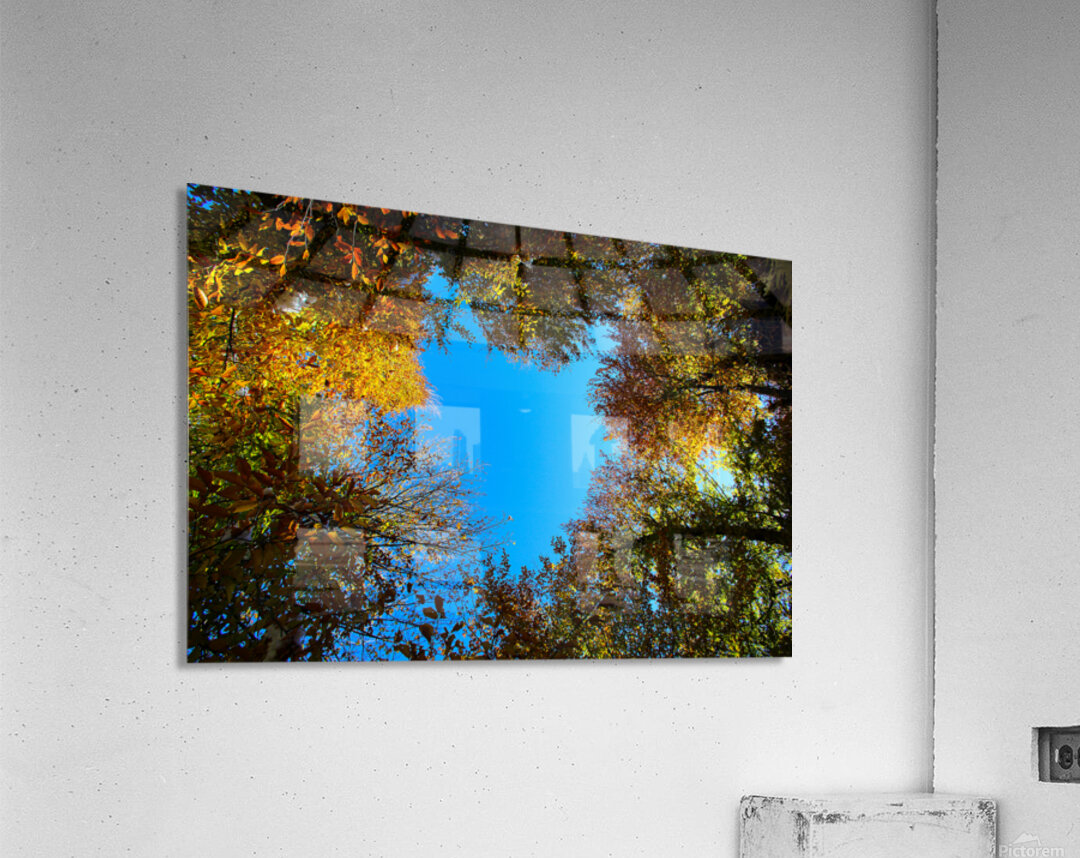 Window to the sky Acrylic Print