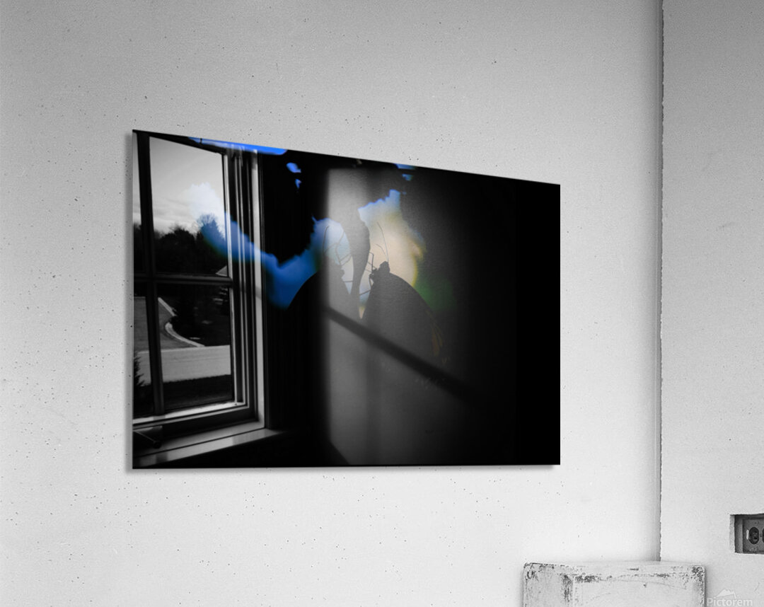 Whispers in the Dark Acrylic Print