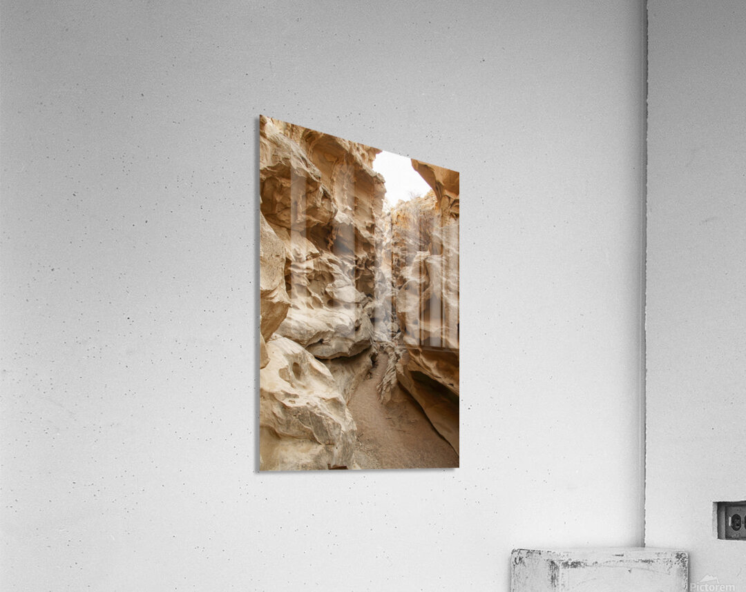 Echo Canyon Acrylic Print