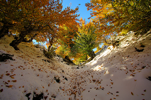 Nature’s Invitation