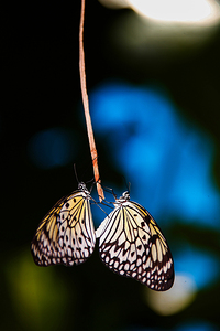 Together in Stillness