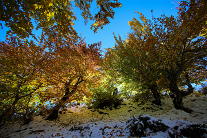 Autumn in Blue’s Embrace