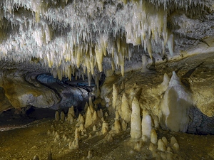 White Crown of Crystals