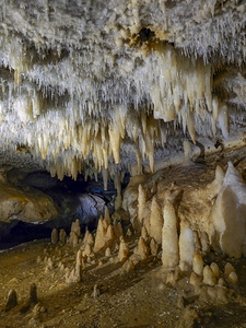 Whispers of the Earth