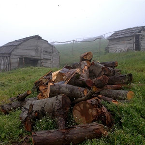 Whispers of the Highlands