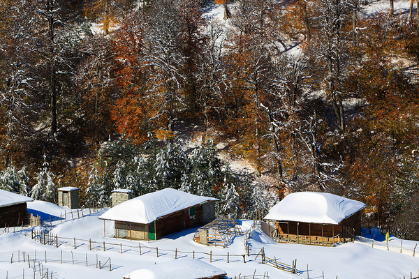Autumn Behind the Snow Print