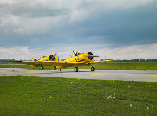 Runway Legends Print