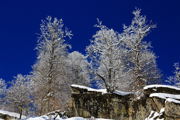 Winter Fortress Print