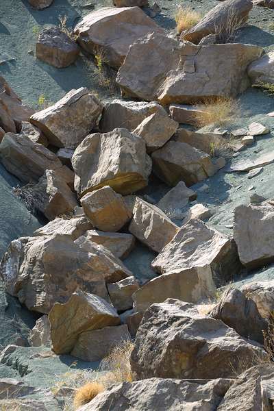 Earth’s Puzzle Print