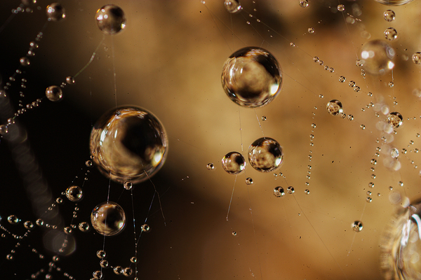 Floating Worlds Print