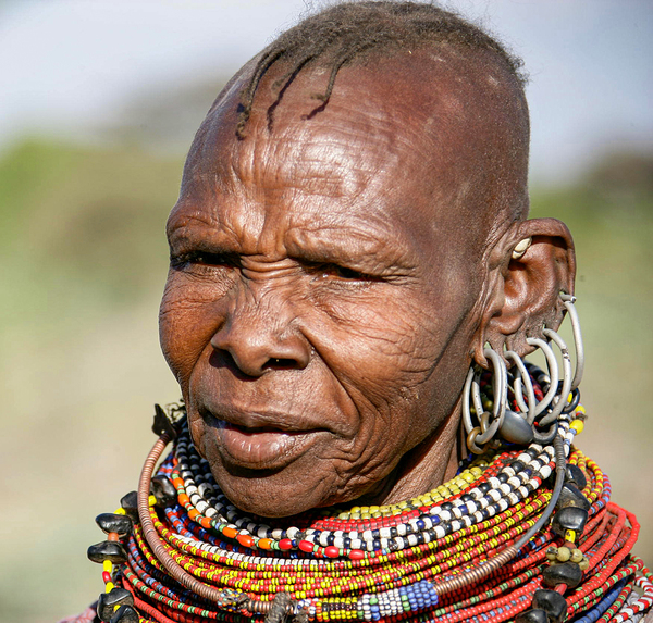 Lines of Strength Print