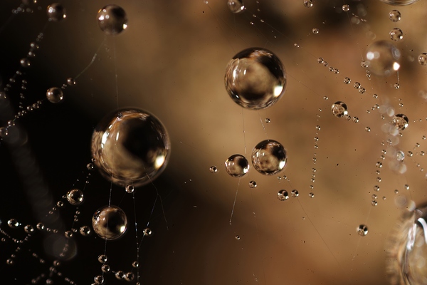 Gravity’s Whisper Print