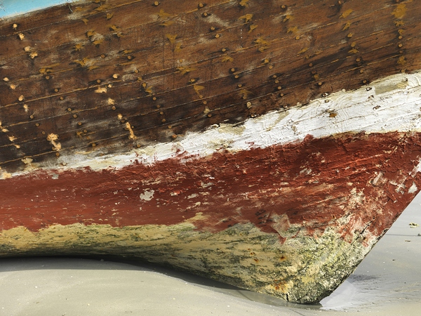 Echoes of the Sea Print