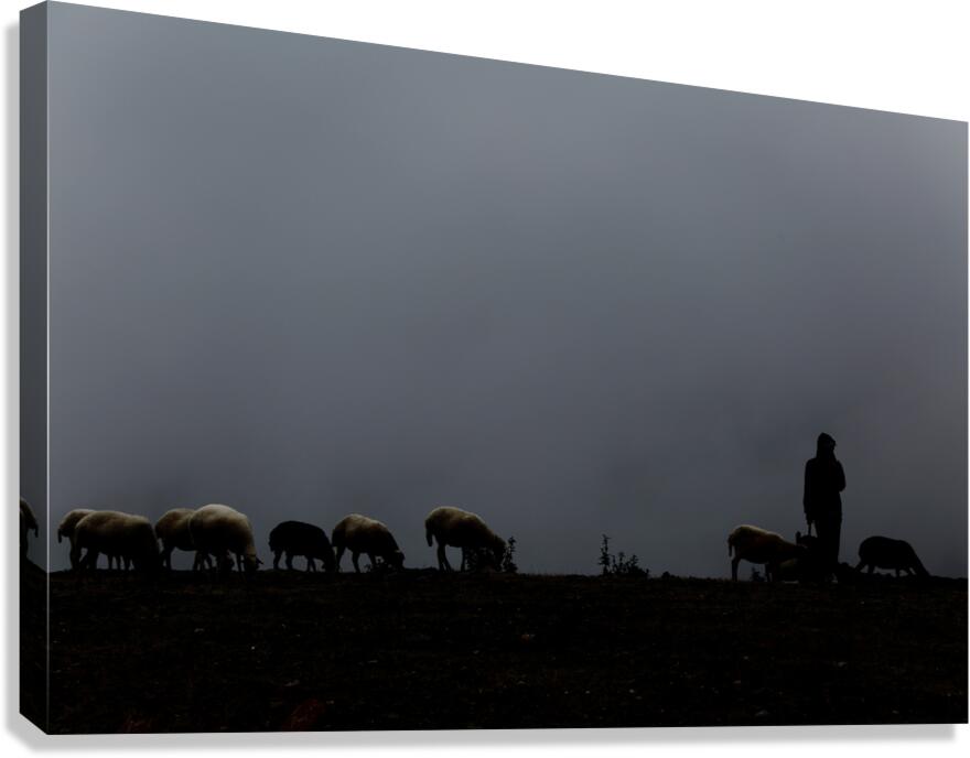 Tranquility Canvas Print