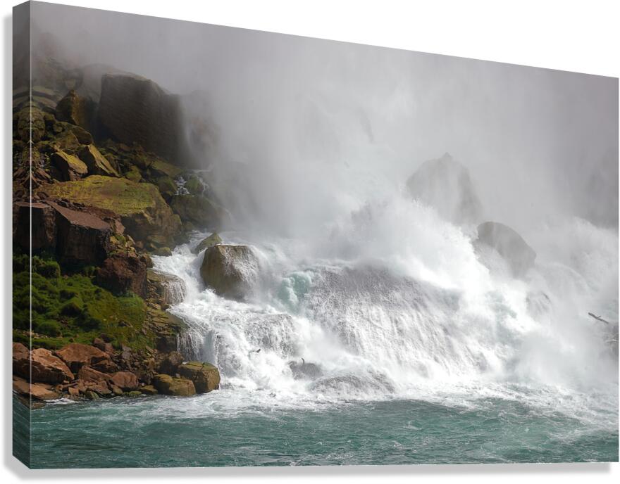 The Roar of Nature Canvas Print