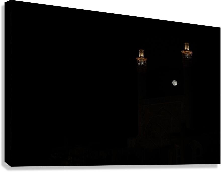 Echoes of Eternity Canvas Print