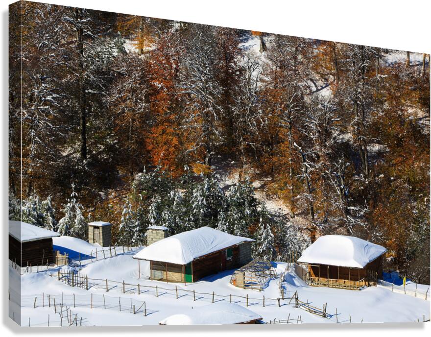 Autumn Behind the Snow Canvas Print