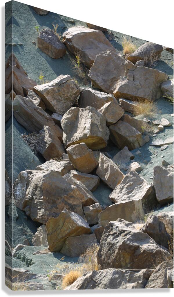 Earth’s Puzzle Canvas Print