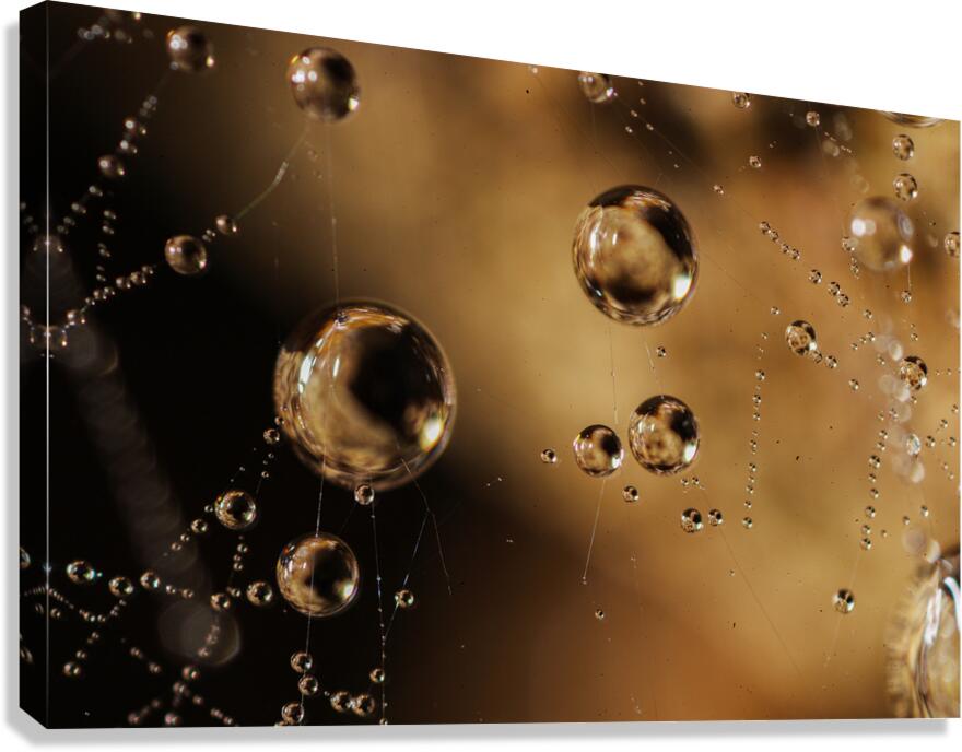 Floating Worlds Canvas Print