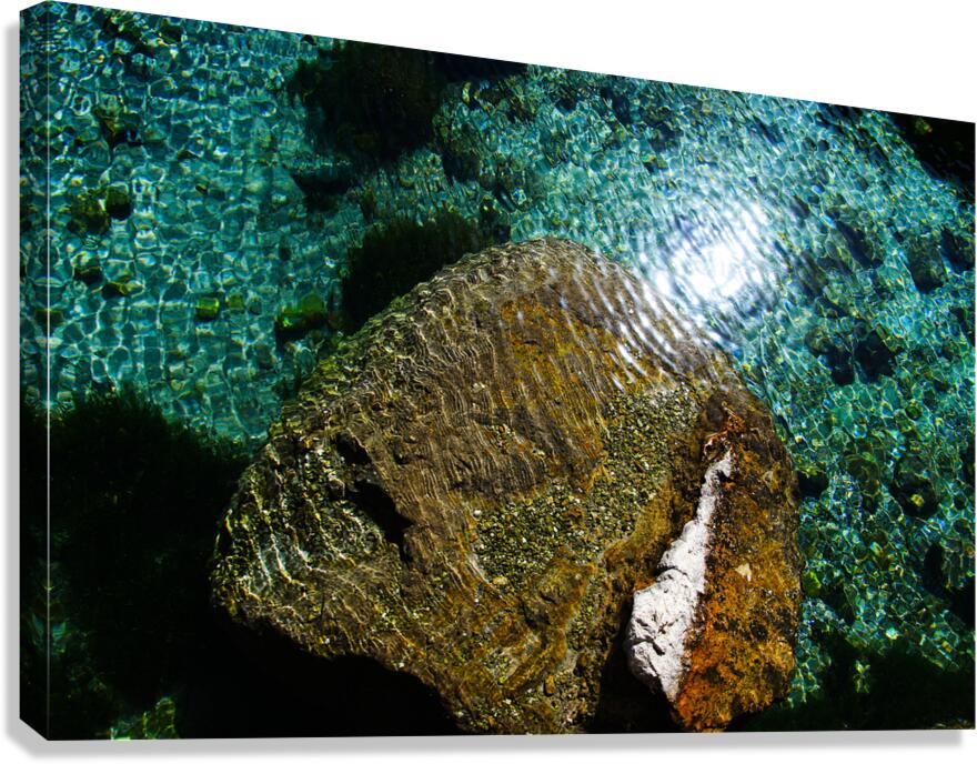 Living Stone Canvas Print