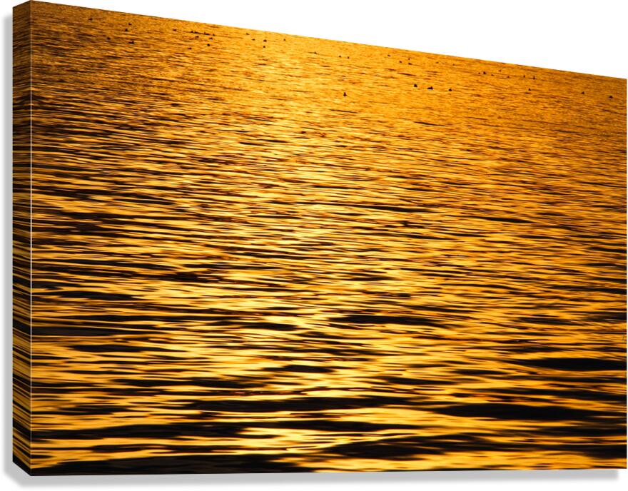 Golden Dawn Canvas Print