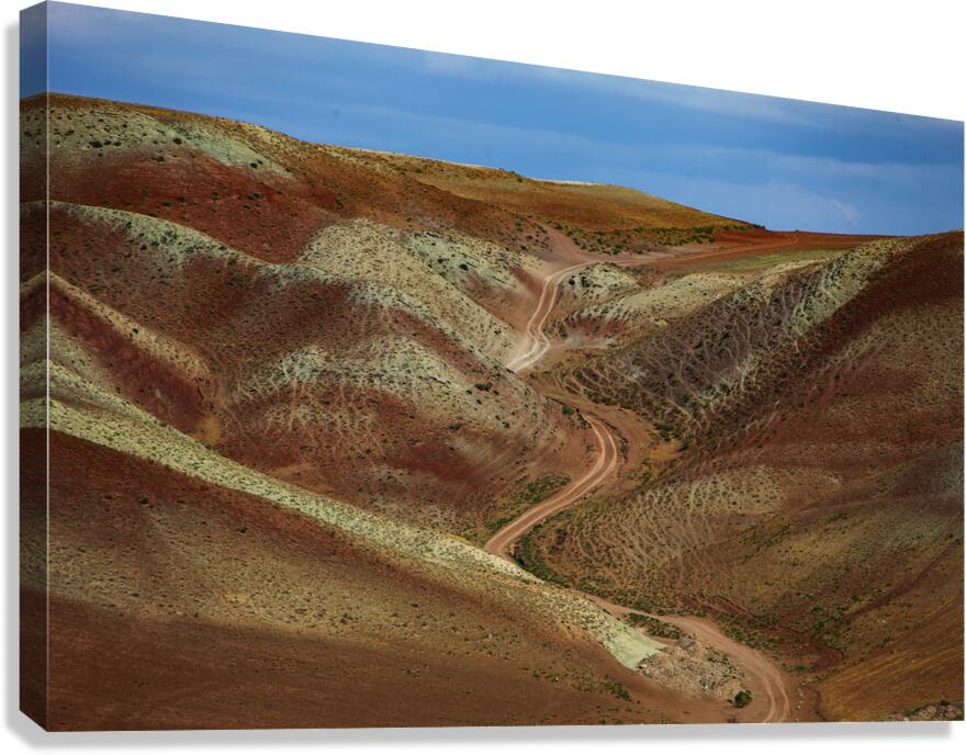 Trail of Silence Canvas Print