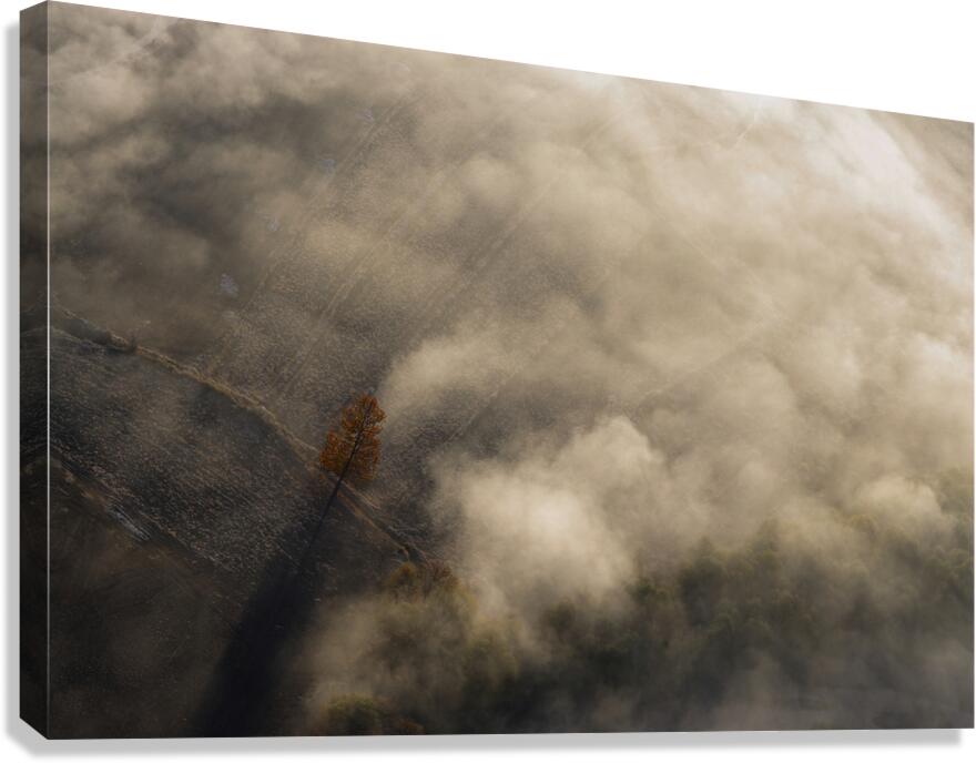 The Lonely Tree Canvas Print