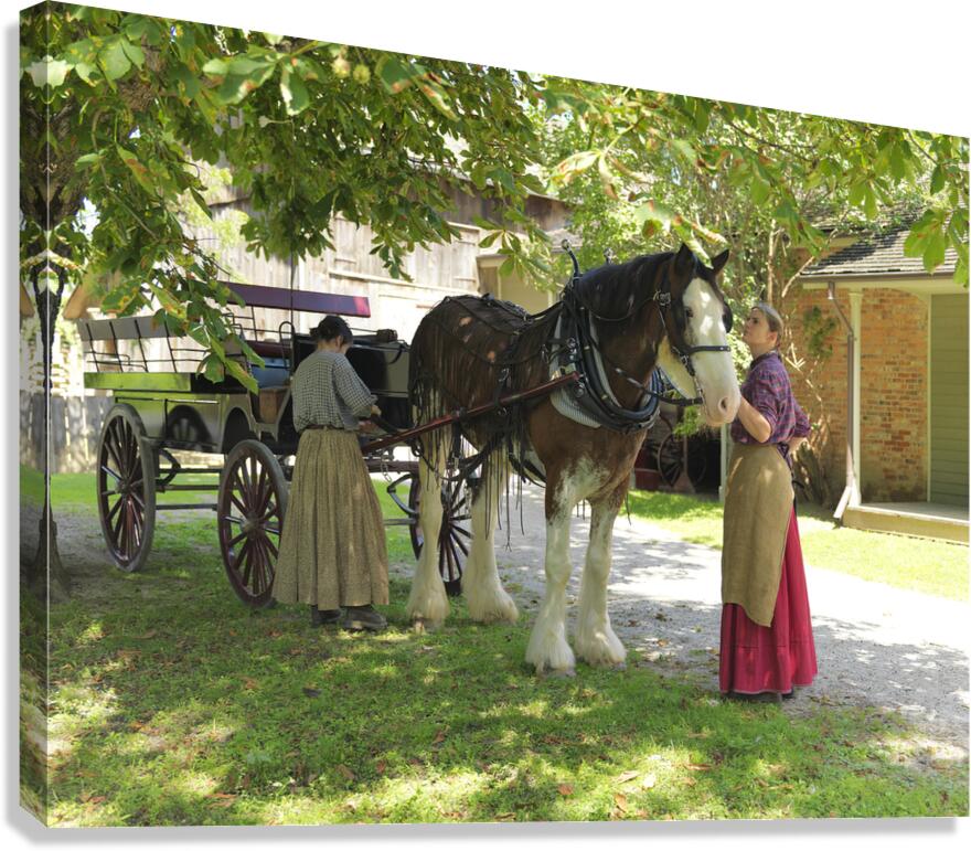 Timeless Companions Canvas Print