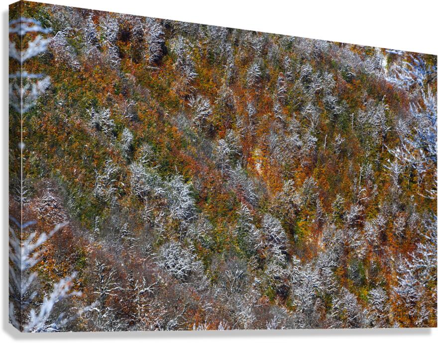 Poetry of Seasons Canvas Print