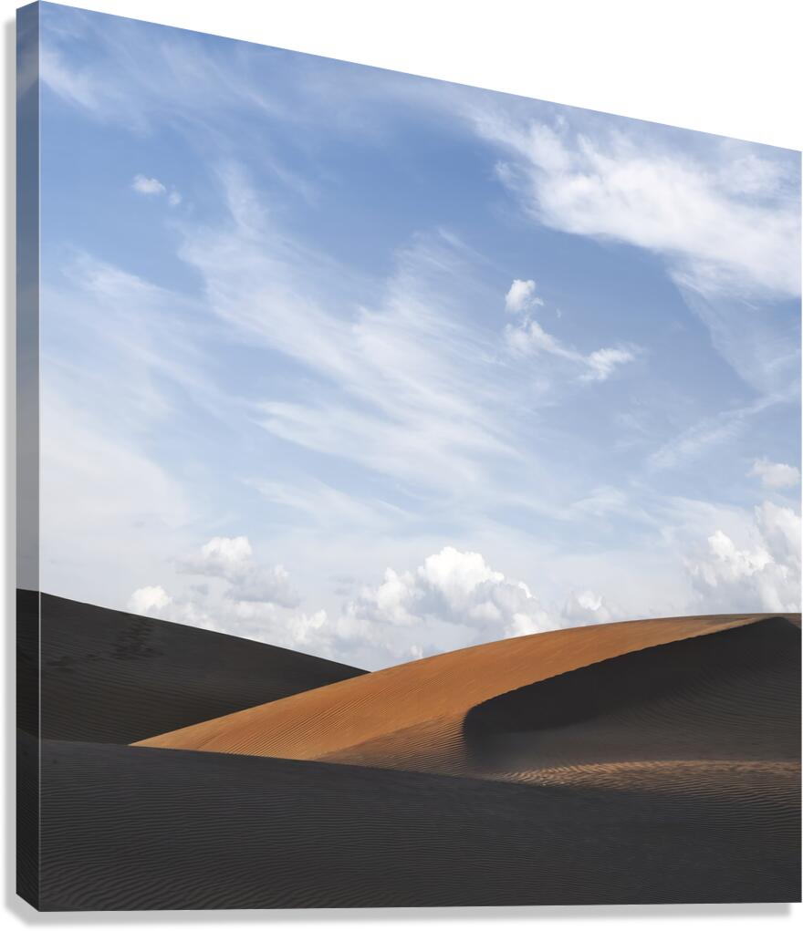 DESERT IRAN Canvas Print